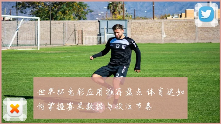世界杯竞彩应用推荐盘点 体育迷如何掌握赛果数据与投注节奏