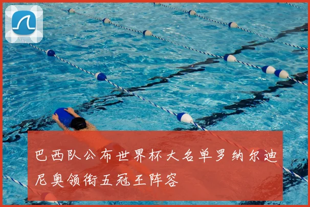 巴西队公布世界杯大名单罗纳尔迪尼奥领衔五冠王阵容