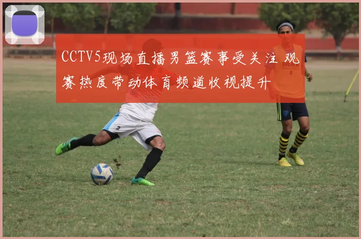 CCTV5现场直播男篮赛事受关注 观赛热度带动体育频道收视提升