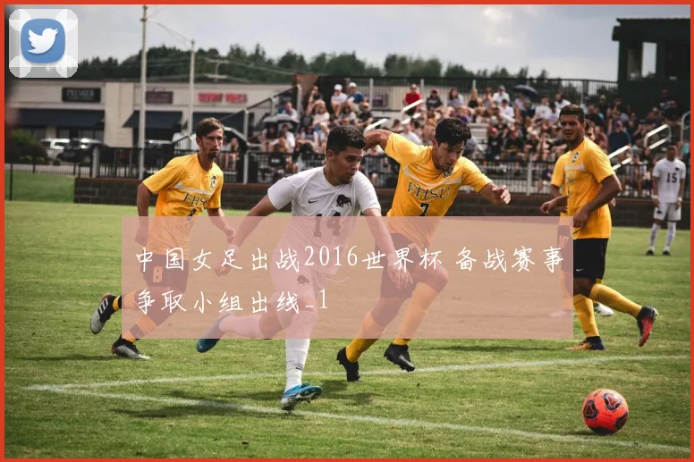 中国女足出战2016世界杯 备战赛事争取小组出线_1