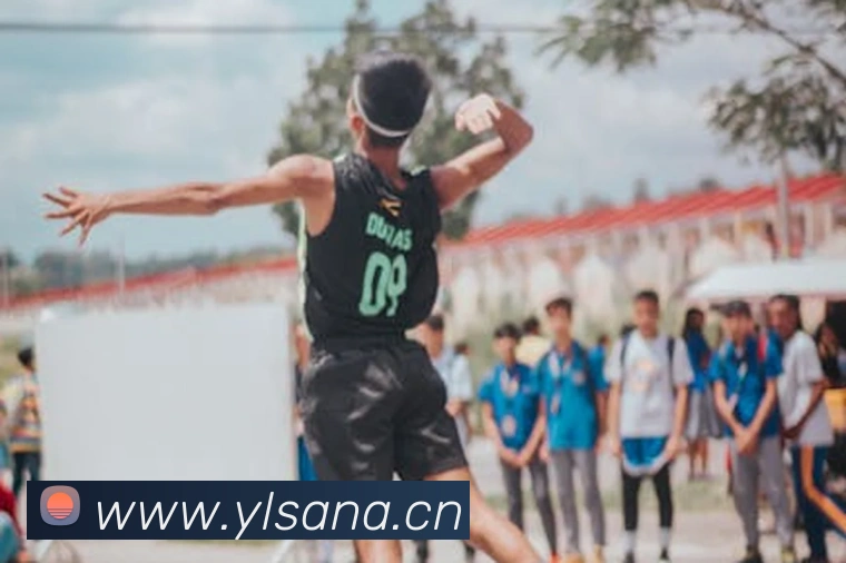 开云在线官方网站平台生态图